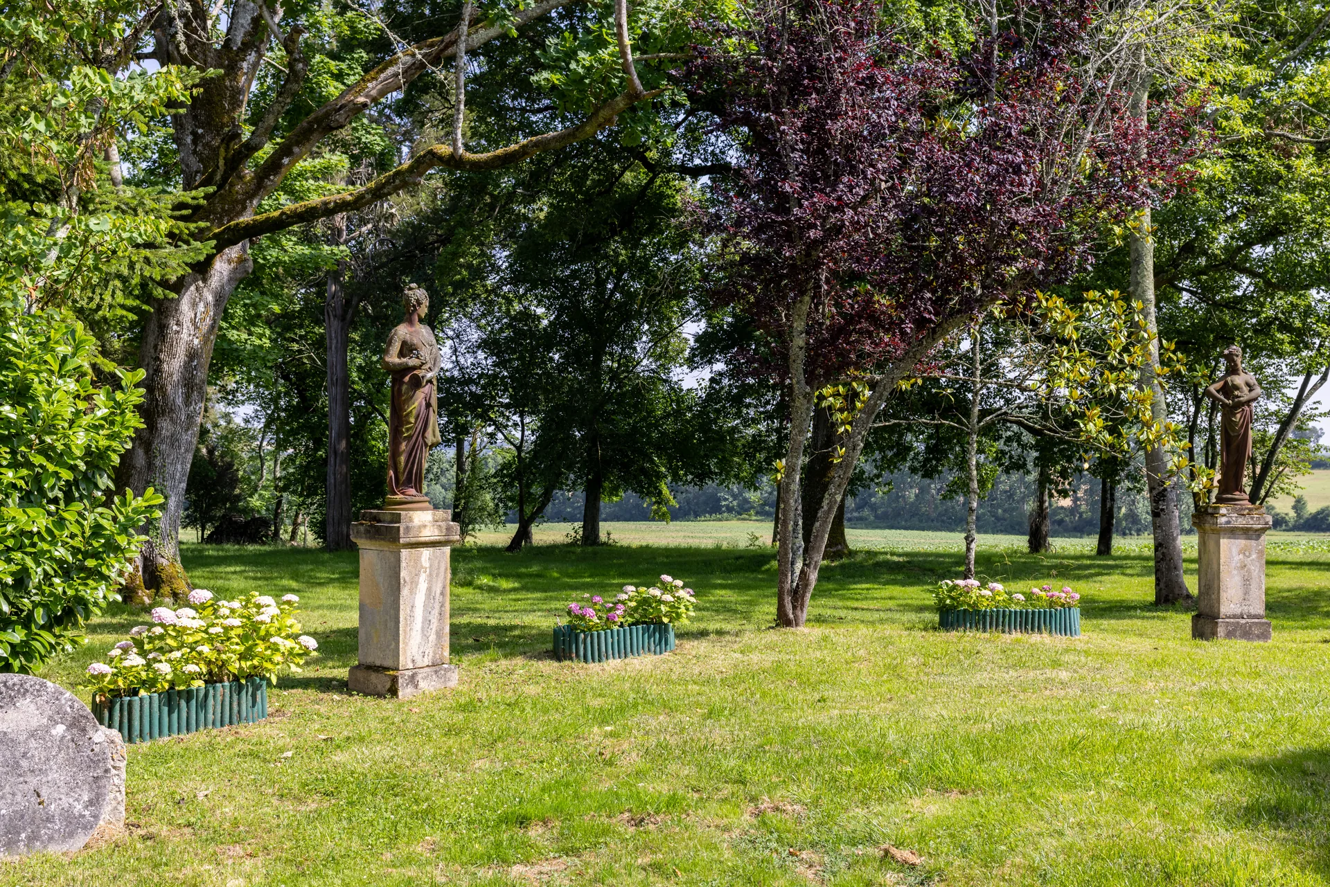 The garden